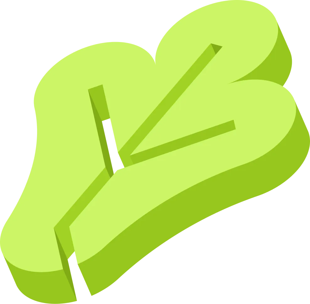 Leaf illustration